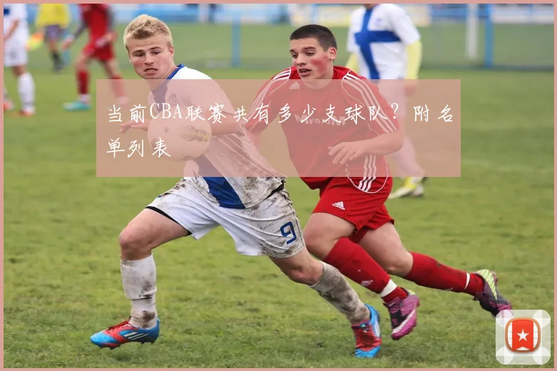 当前CBA联赛共有多少支球队？附名单列表