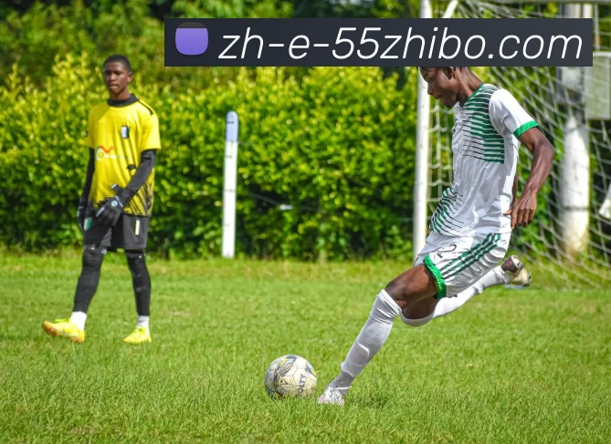 55直播平台生态图